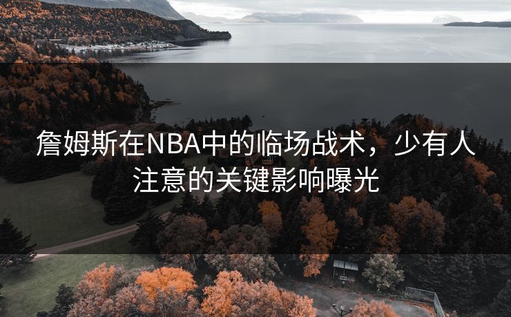 詹姆斯在NBA中的临场战术，少有人注意的关键影响曝光